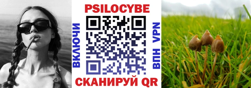 Галлюциногенные грибы прущие грибы  Удомля 