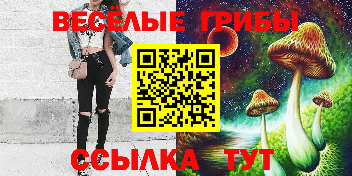 Удомля  Псилоцибиновые грибы ЛСД  Вход с VPN 