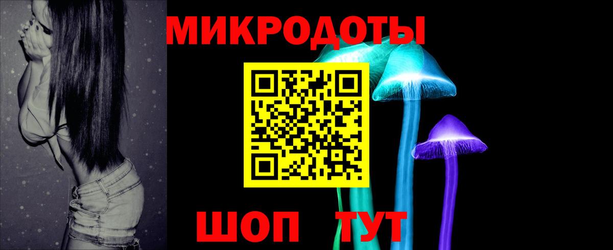 Псилоцибиновые грибы Psilocybe Удомля